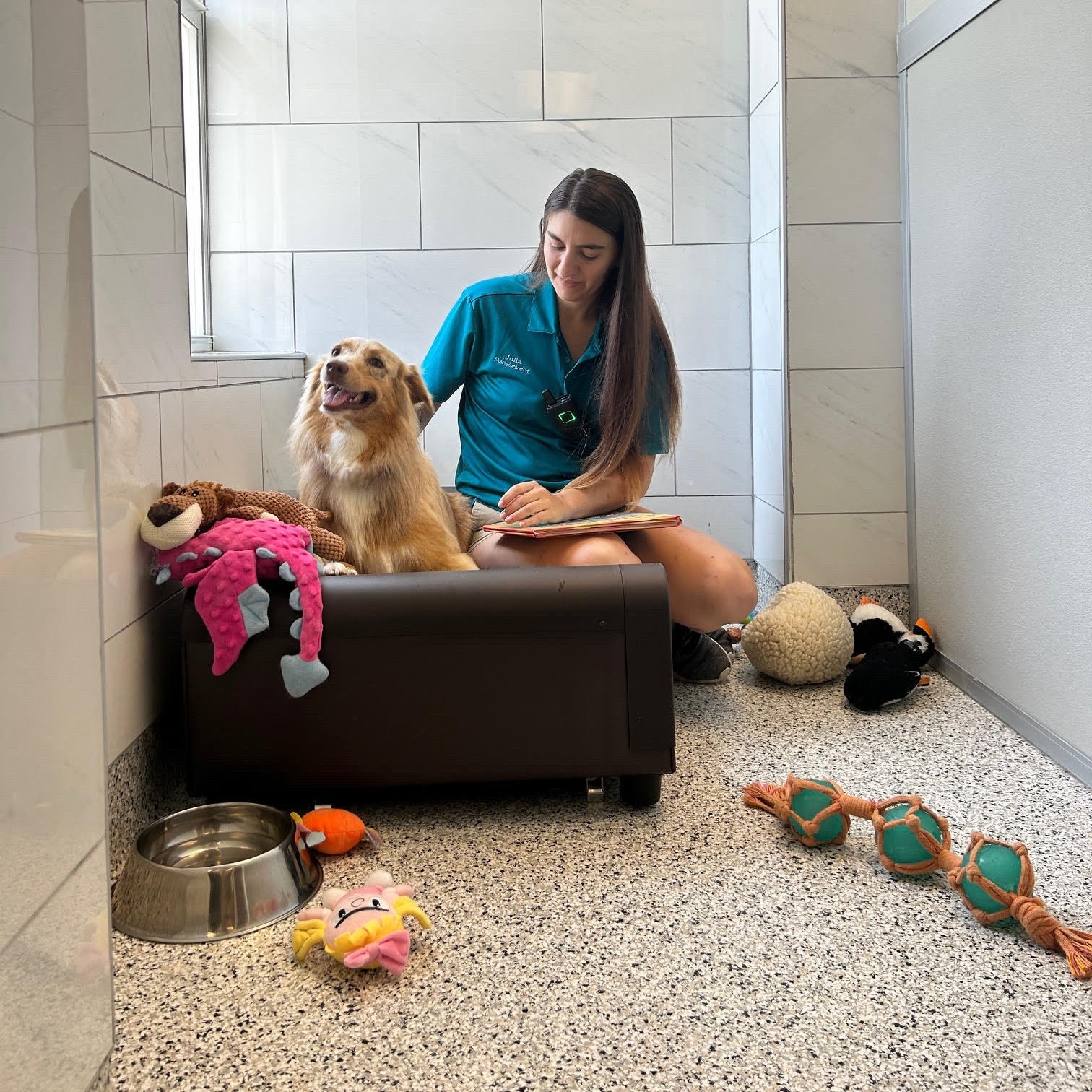 Dog Boarding at DogsWorld