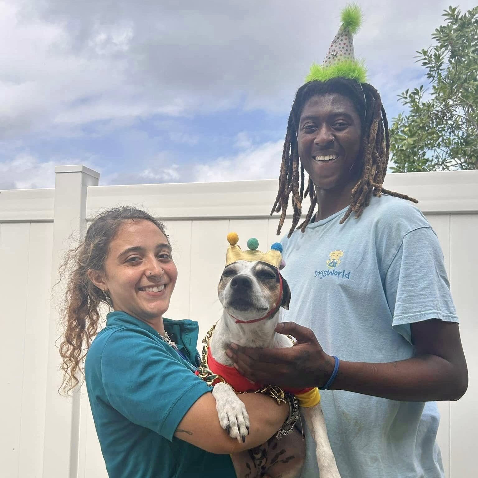 DW1 Dogs playing at Dog Daycare