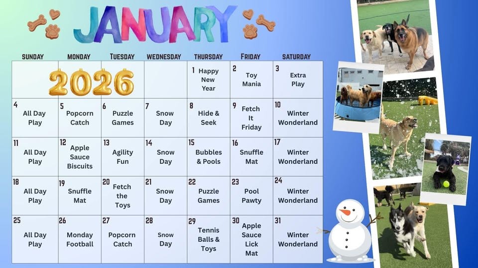 January Calendar