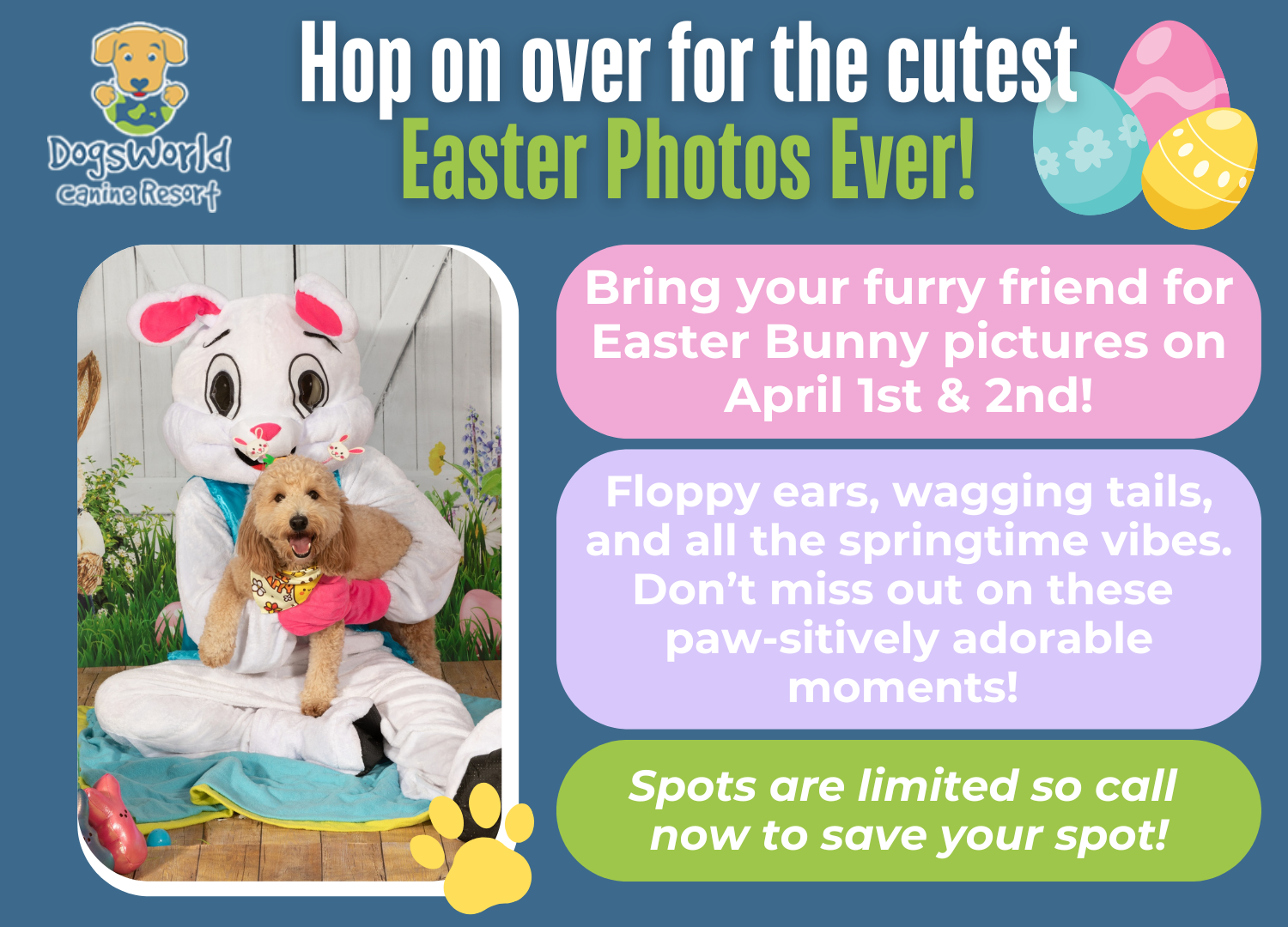 Easter Pop-Up