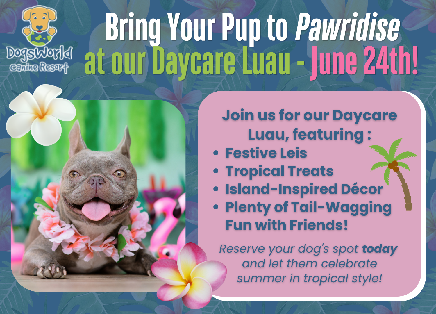 Daycare Luau pop-up