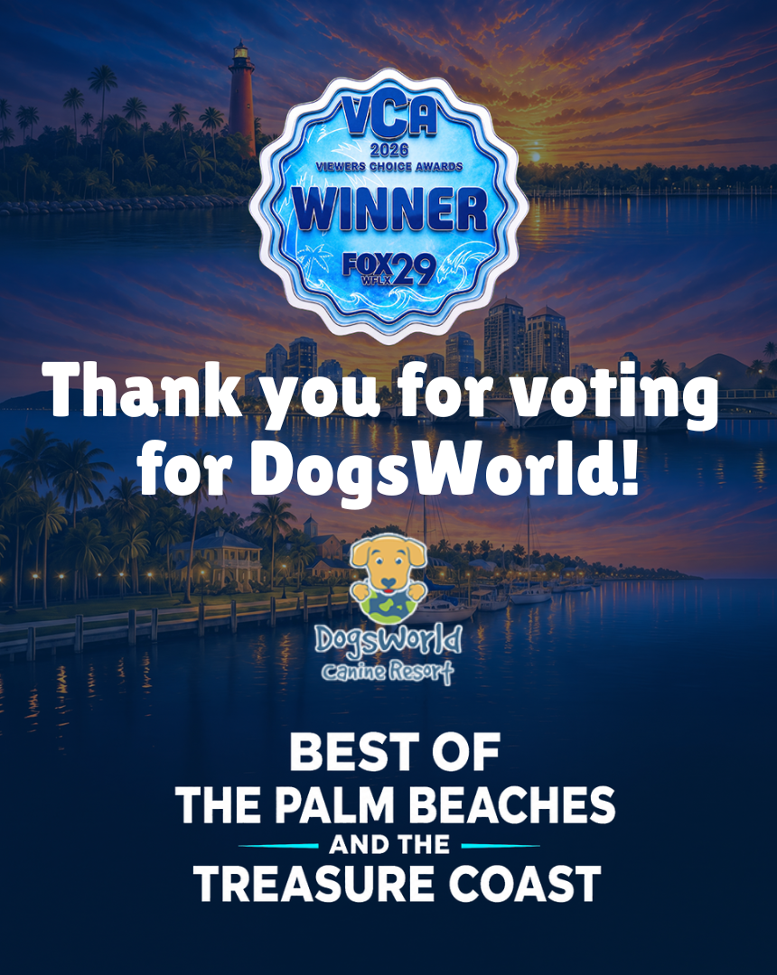 Fox29WFLX 2026 Viewer's Choice Awards Winner 2026 Pop-Up